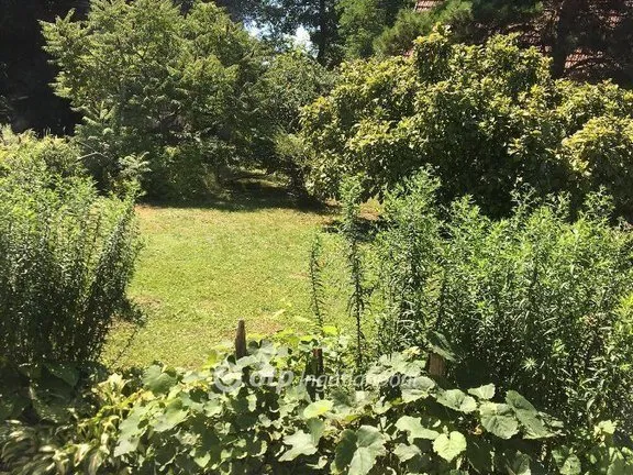 Eladó ház Harkány 176 nm