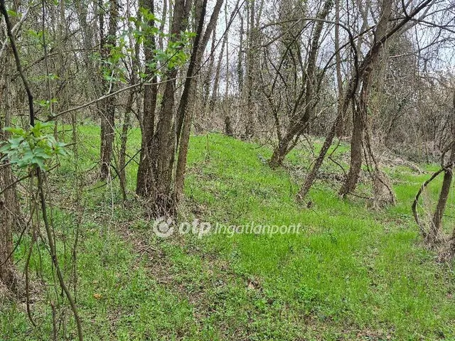 Eladó mezőgazdasági ingatlan Pellérd 4899 nm