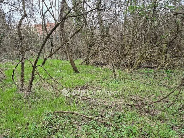 Eladó mezőgazdasági ingatlan Pellérd 4899 nm