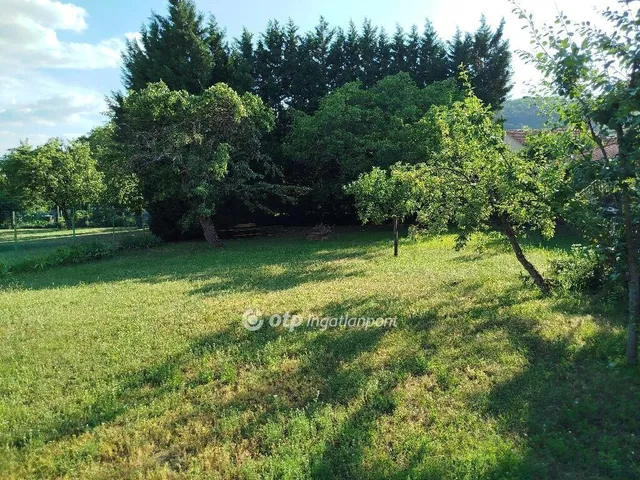 Eladó ház Pécs 235 nm