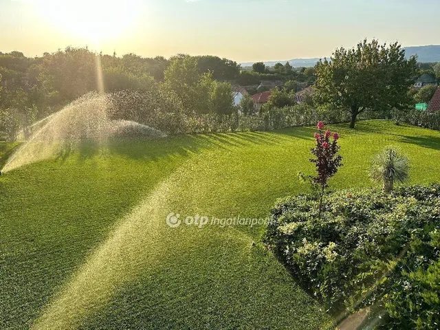 Eladó ház Keszü 220 nm
