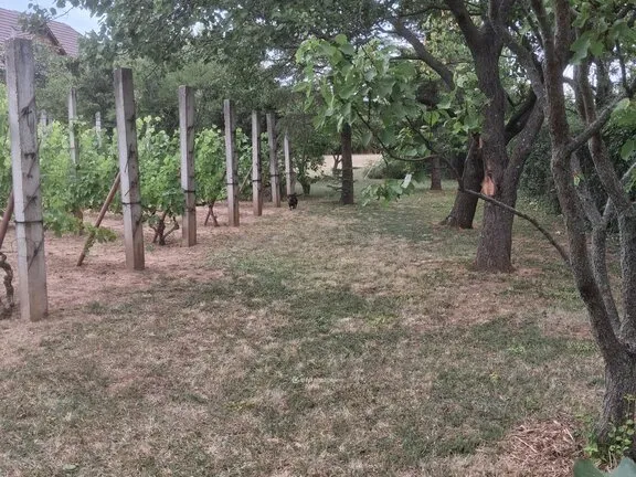 Eladó telek Pécs 1500 nm