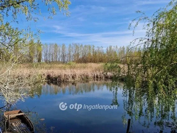 Eladó ház Dávod 90 nm