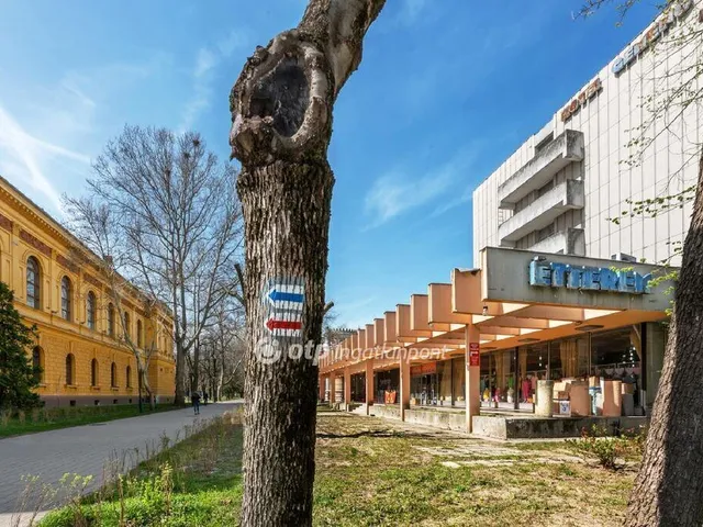 Eladó kereskedelmi és ipari ingatlan Szekszárd 6023 nm