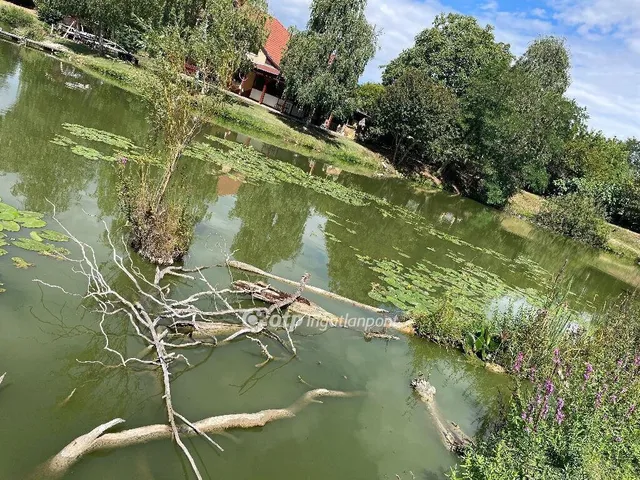 Eladó nyaraló Bakonya 154 nm