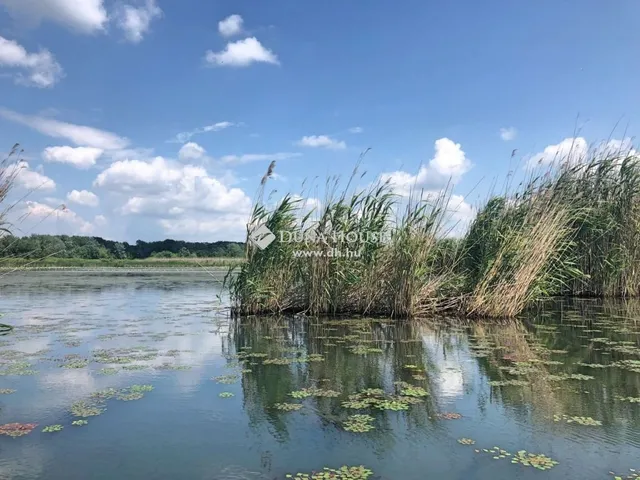 Eladó telek Tiszanána 609 nm