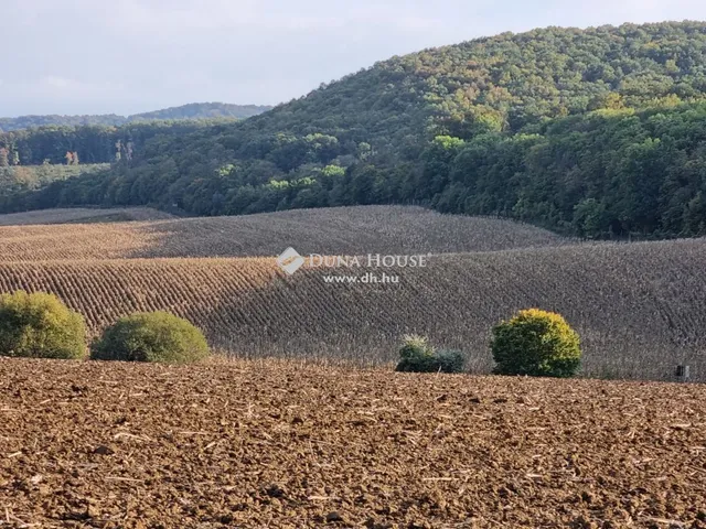 Eladó telek Tarján 1004 nm