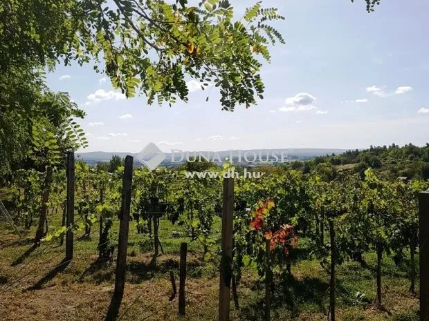 Eladó mezőgazdasági ingatlan Környe 206 nm
