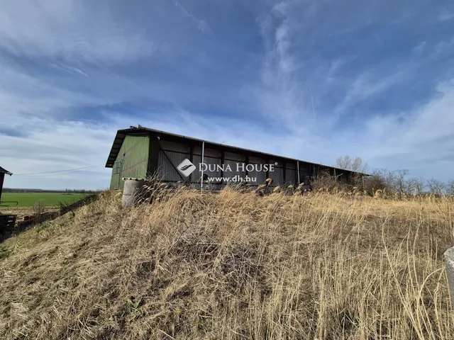 Eladó kereskedelmi és ipari ingatlan Császár 2698 nm