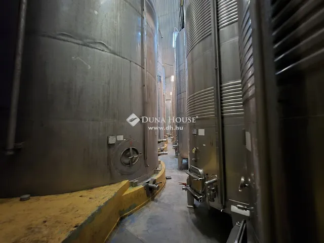 Eladó kereskedelmi és ipari ingatlan Császár 2698 nm