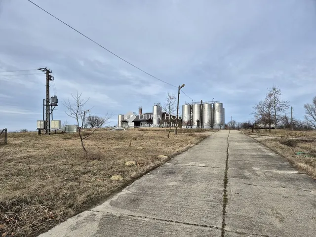 Eladó kereskedelmi és ipari ingatlan Császár 2698 nm