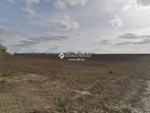 Eladó telek Páty 48972 nm