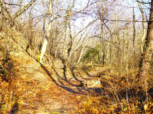 Eladó telek Esztergom 2264 nm