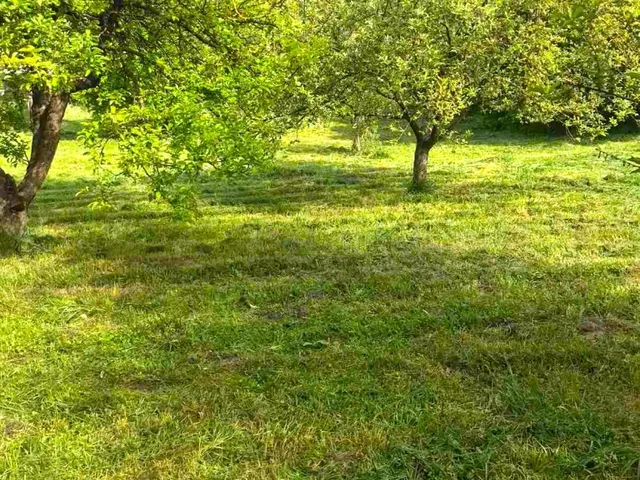 Eladó telek Sárisáp 1262 nm