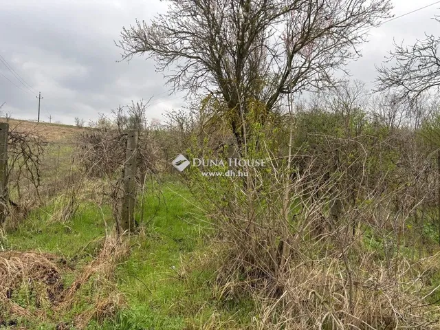 Eladó mezőgazdasági ingatlan Tokod 1165 nm