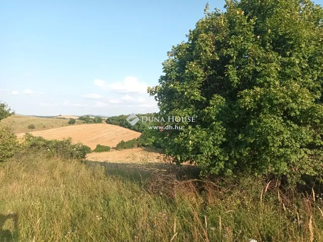 Eladó telek Nagysáp 1014 nm