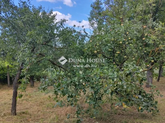 Eladó telek Piliscsév 910 nm