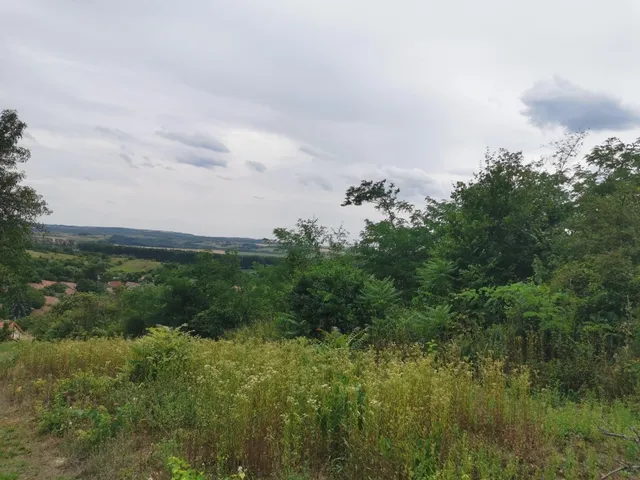 Eladó telek Kesztölc 619 nm