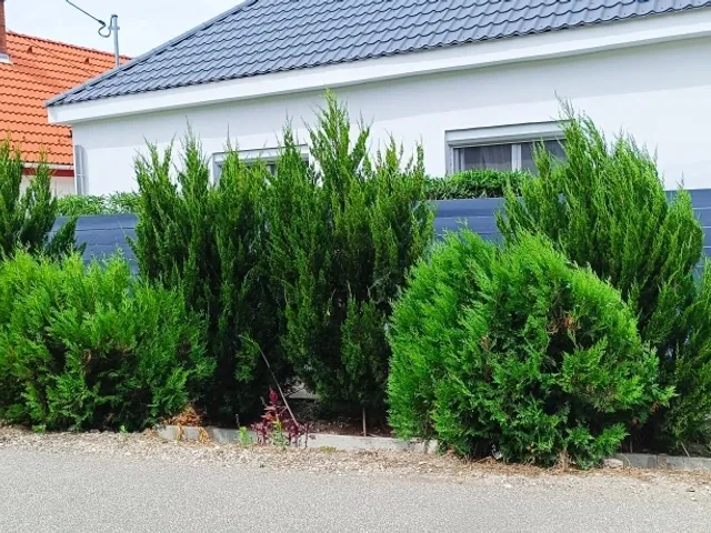 Eladó ház Úny 90 nm