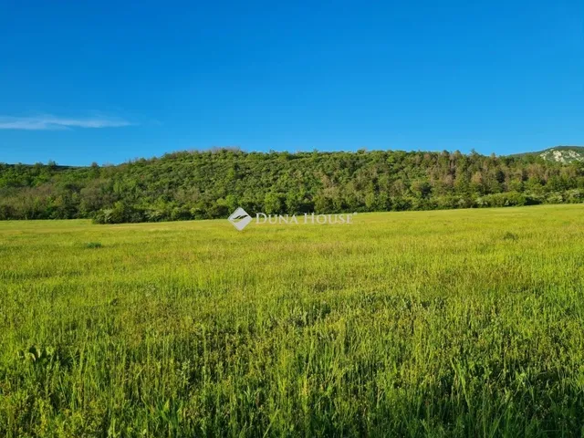 Eladó telek Kesztölc 22314 nm