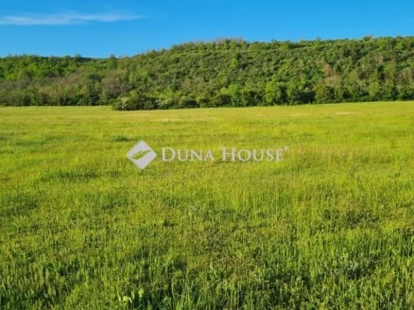 Eladó telek Kesztölc 22314 nm