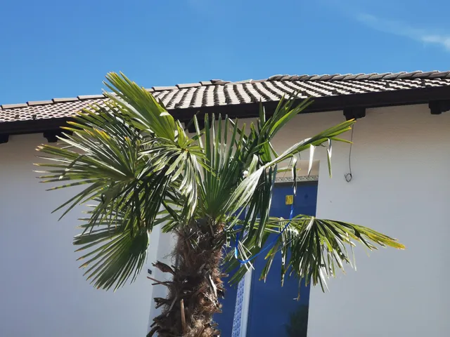 Eladó lakás Dorog 40 nm