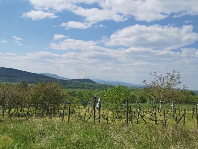 Eladó nyaraló Esztergom 52 nm
