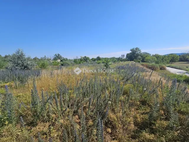 Eladó kereskedelmi és ipari ingatlan Esztergom 21674 nm