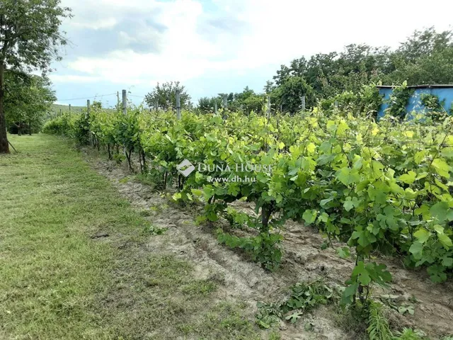 Eladó mezőgazdasági ingatlan Nyergesújfalu 903 nm