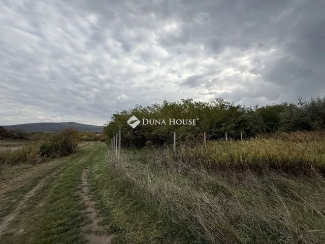 Eladó telek Nyergesújfalu 3748 nm