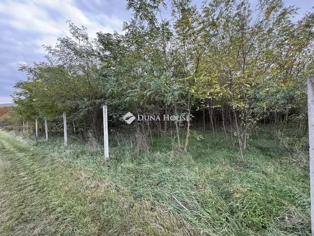 Eladó telek Nyergesújfalu 3748 nm