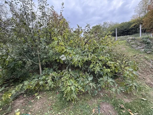 Eladó telek Nyergesújfalu 3370 nm