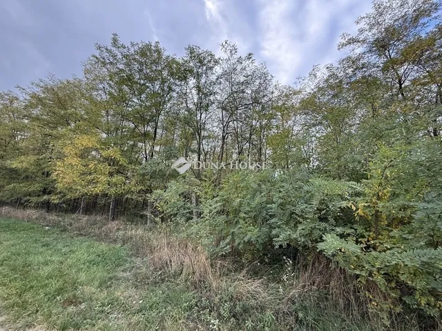 Eladó telek Nyergesújfalu 1899 nm