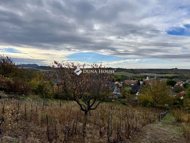 Eladó üdülő és hétvégi ház Nagysáp 30 nm