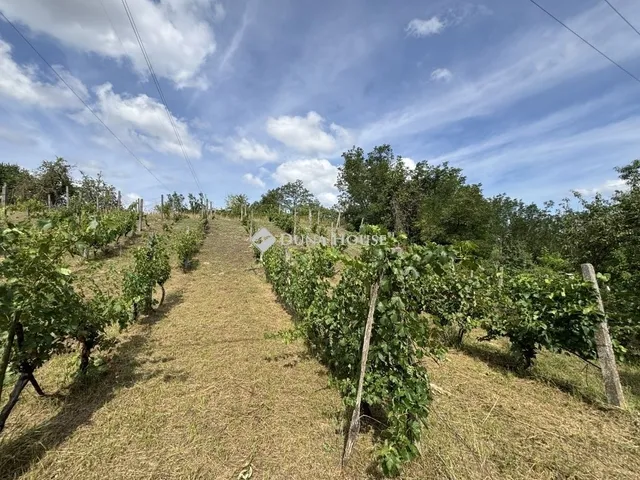 Eladó telek Nyergesújfalu 1403 nm