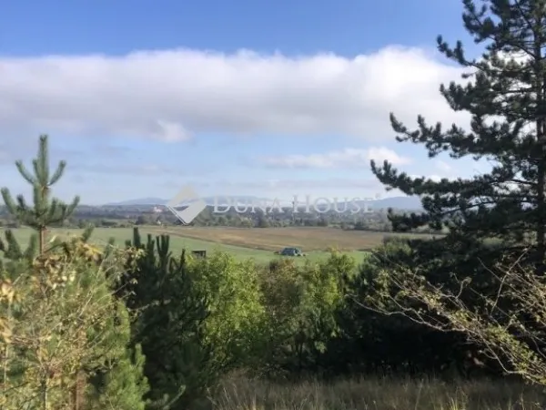 Eladó telek Mogyorósbánya 230 nm