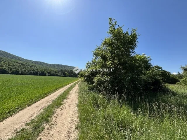 Eladó telek Piliscsév 2108 nm