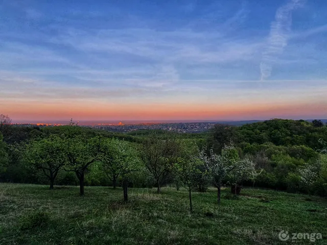 Eladó telek Miskolc, Komlóstető 7500 nm