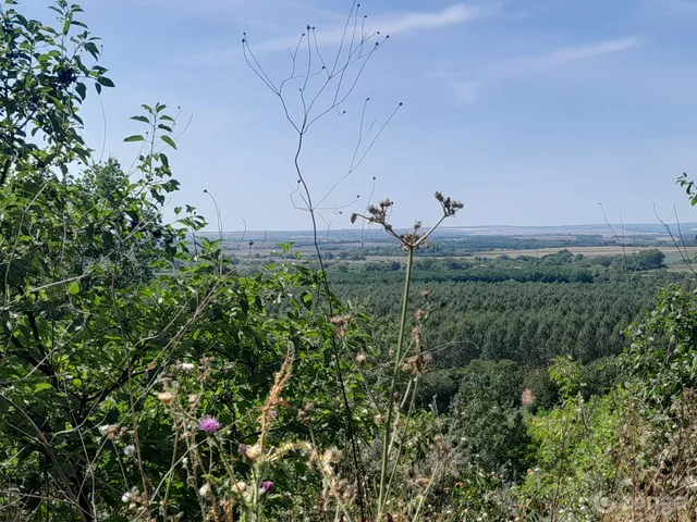 Eladó telek Hatvan, Óhatvan 4061 nm