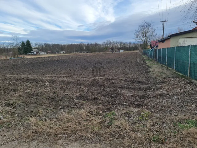 Eladó mezőgazdasági ingatlan Debrecen, Biczó István-kert 1172 nm