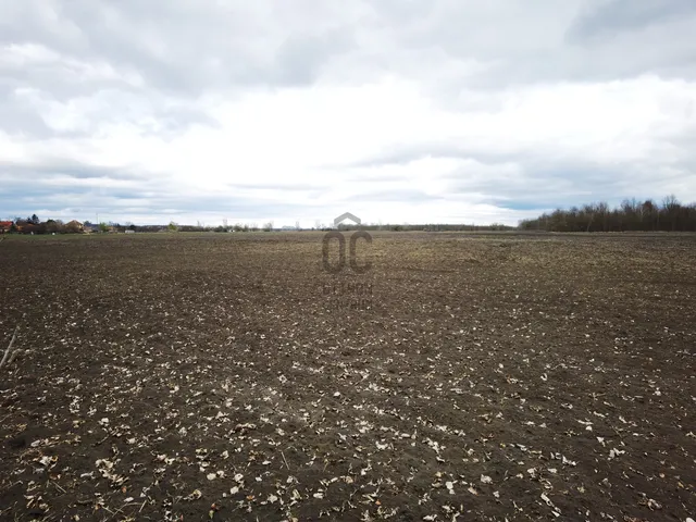 Eladó telek Polgár 160000 nm