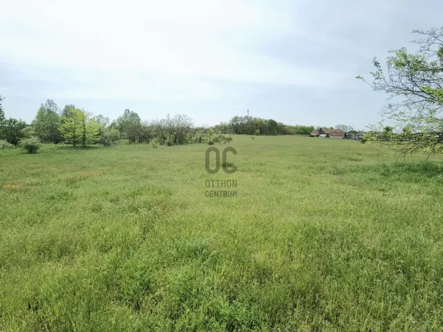 Eladó telek Debrecen, Olajfa lakópark 7898 nm