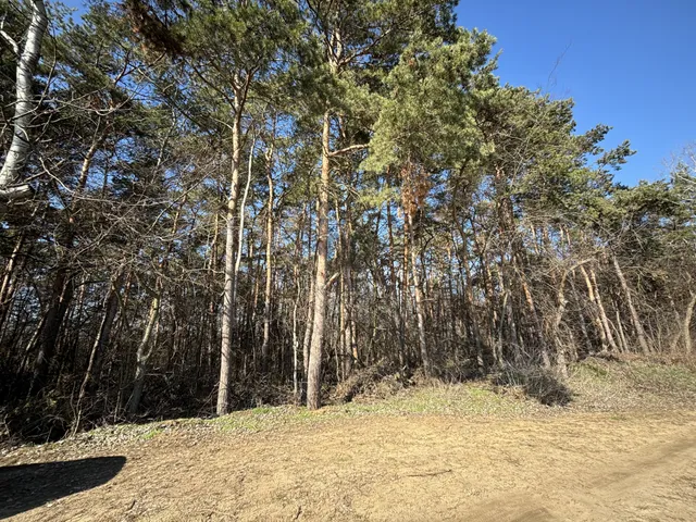 Eladó telek Debrecen, Biczó István-kert 2061 nm