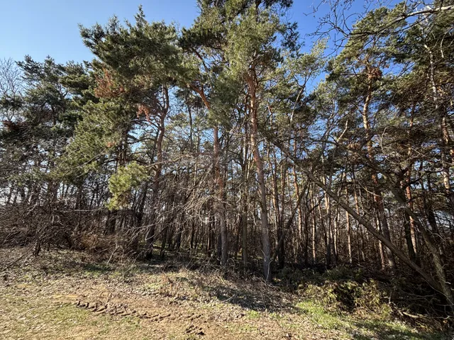 Eladó telek Debrecen, Biczó István-kert 2061 nm