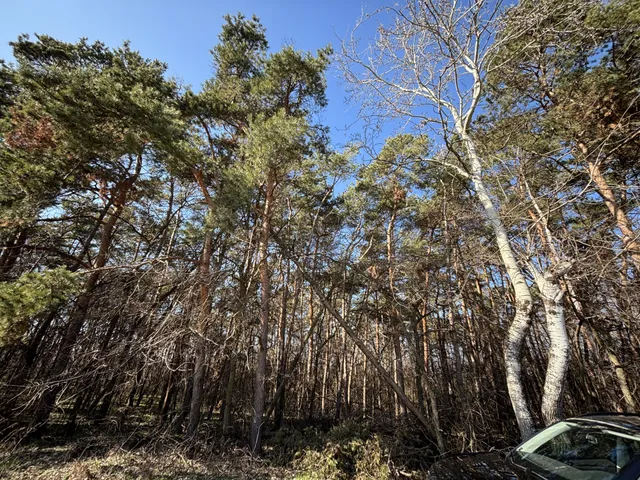 Eladó telek Debrecen, Biczó István-kert 2061 nm