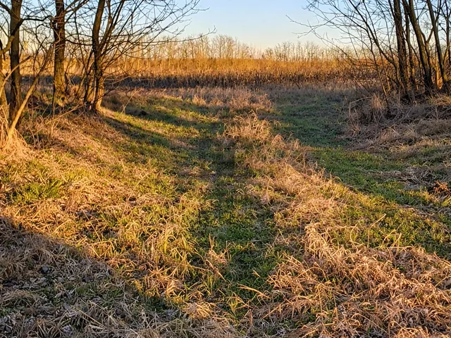 Eladó telek Újfehértó 16394 nm