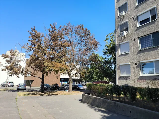 Kiadó lakás Debrecen, Vénkert 62 nm