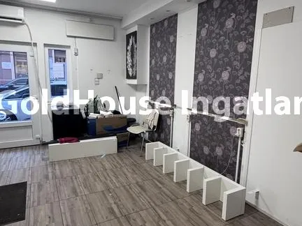 Kiadó kereskedelmi és ipari ingatlan Budapest XIII. kerület, Budapest XIII. kerület, Hegedűs Gyula utca 50 nm