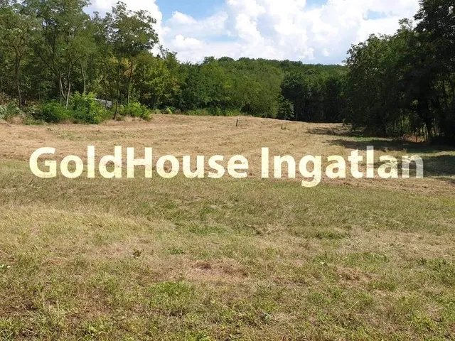 Eladó telek Balatonboglár, Gazdasági épülettel 8000nm-es telek! 50 nm