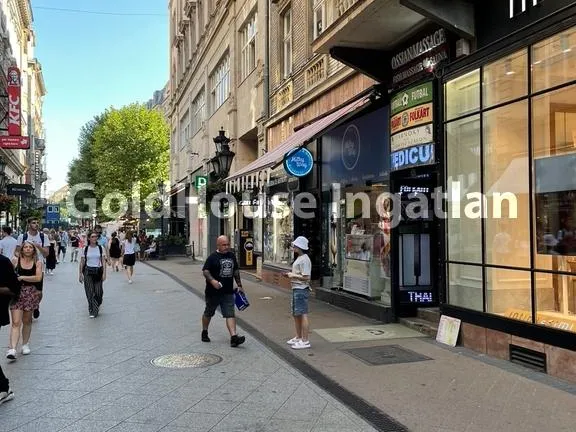 Kiadó kereskedelmi és ipari ingatlan Budapest V. kerület, Váci utca 70 nm